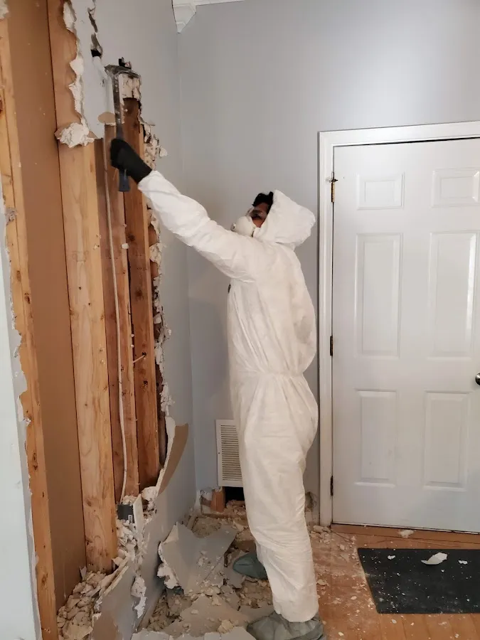 Mold Inspection & Testing in Fort Payne, AL